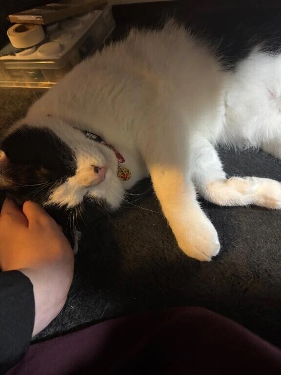 ちゃんと書くぞ📓