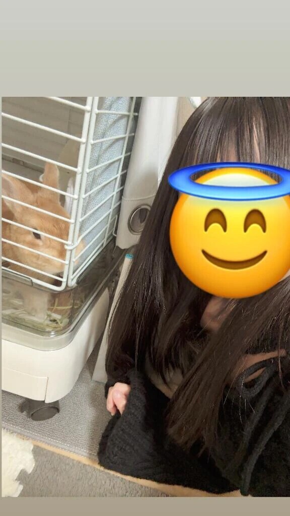 2日間だけ🐰