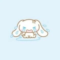 すみません🙇🏻‍♀️