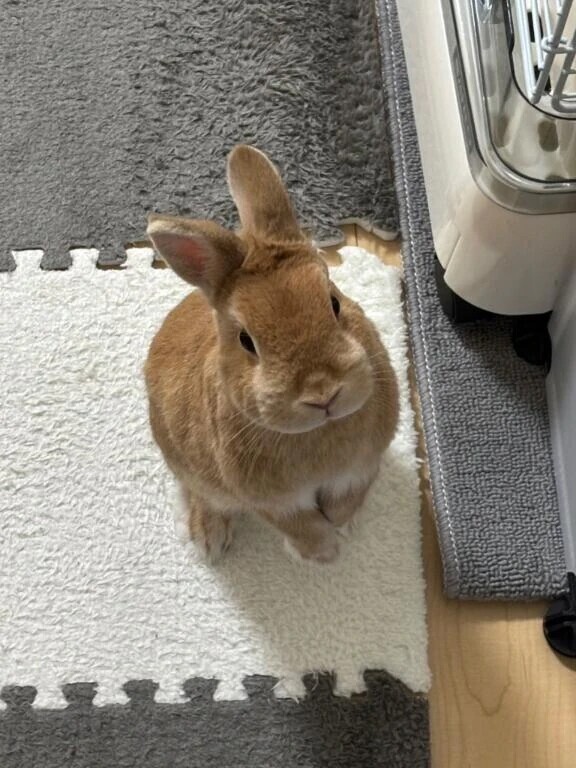 お誘いは60分からの💓‪