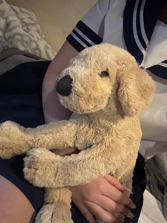 今日は🈵ｺです💖