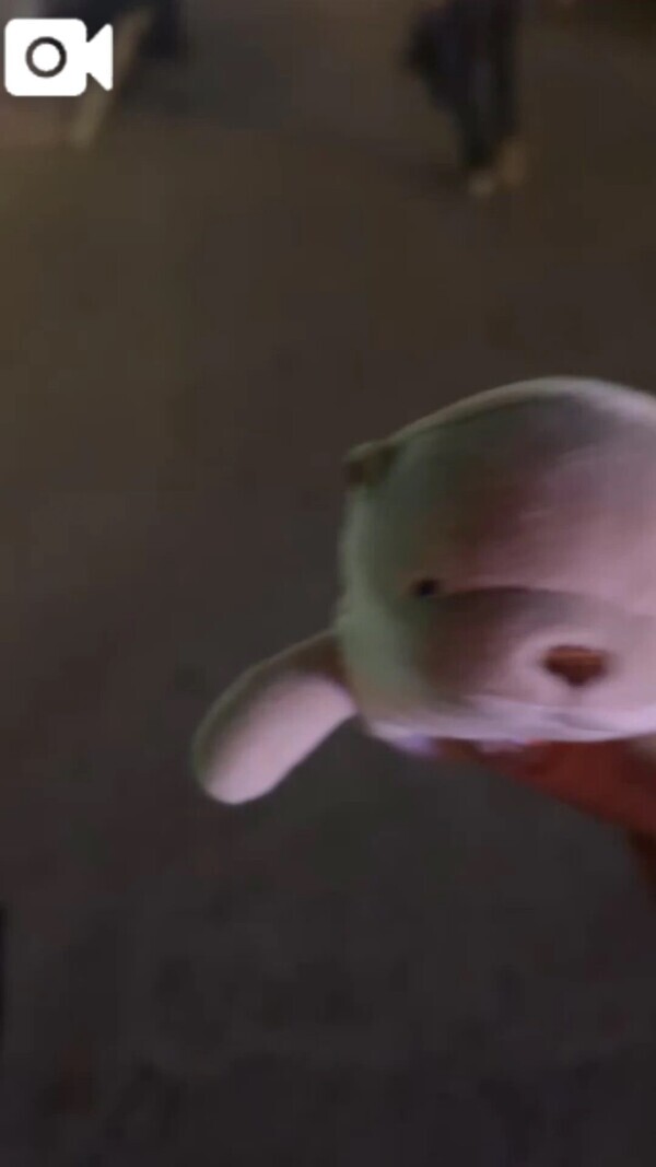 🌼出勤したよ🌼