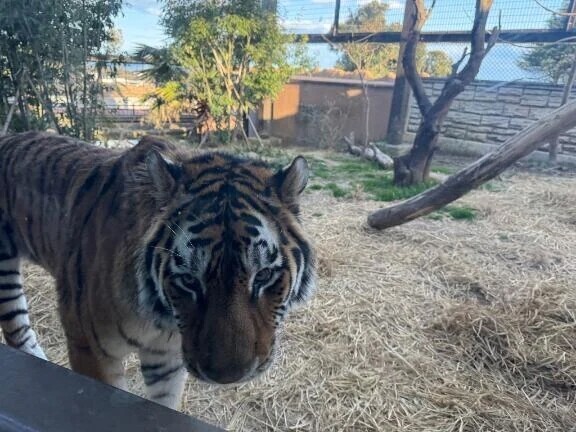 充実した休日👍