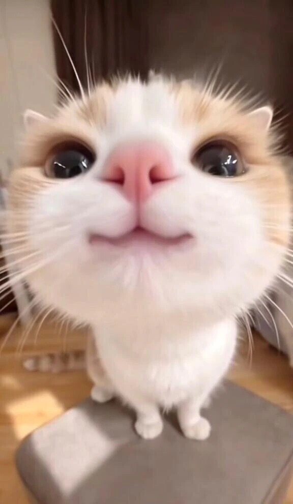 次の出勤は水曜日17時からです🫶