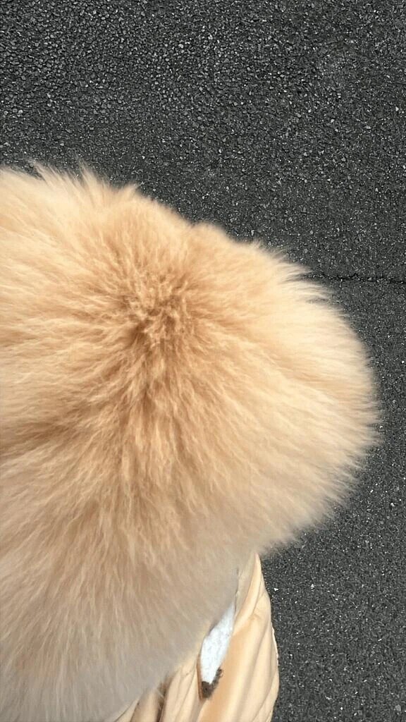 対策🐶