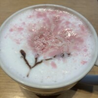 途中で送っちゃったやんけ‼️笑