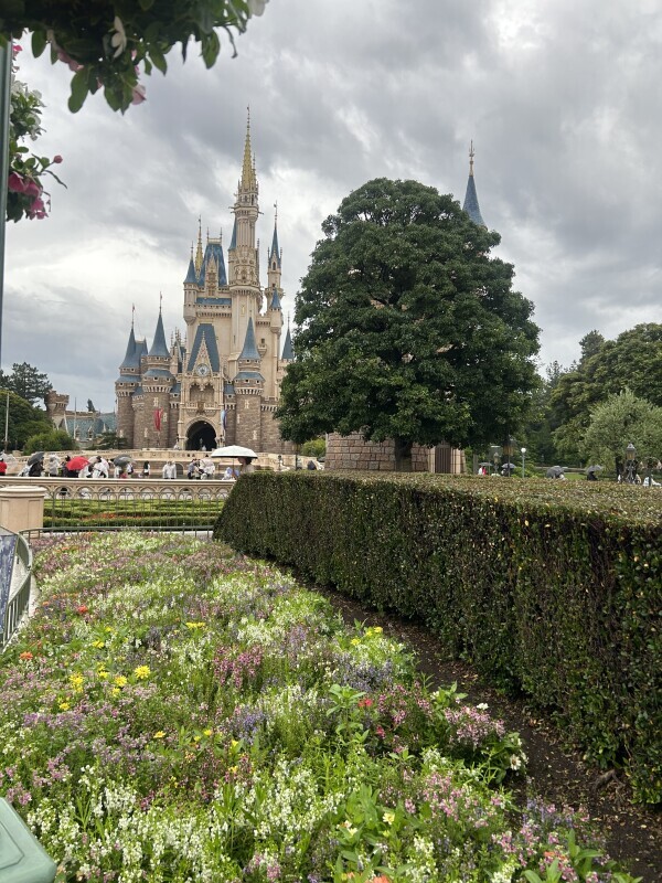 🏰🤍