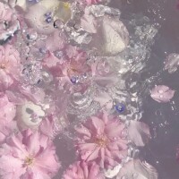 ひなた