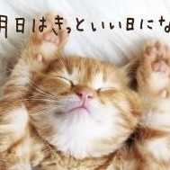 ナンてヒダッ！