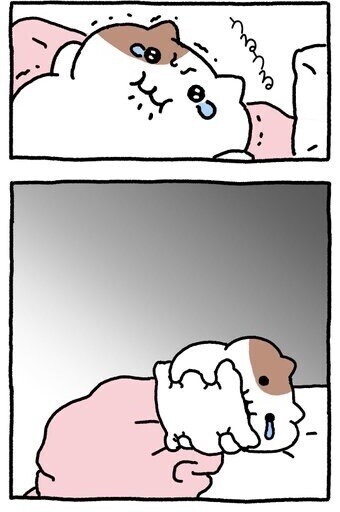 現状報告😿