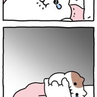 現状報告😿