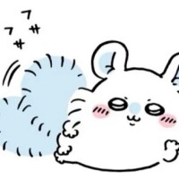 せいら