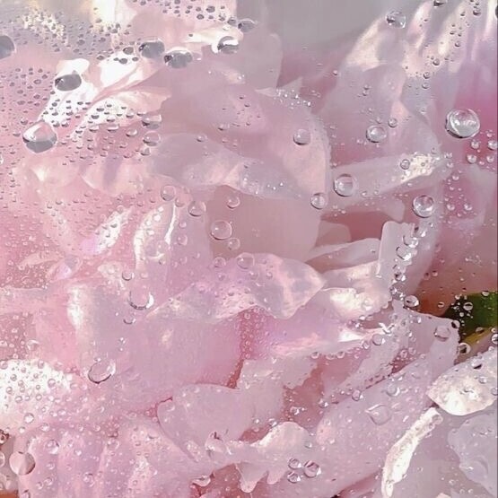 💌お礼〜次回の出勤〜