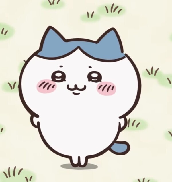 会いに来てくれたら、嬉しいな🩷