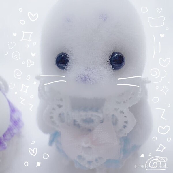 18時半まで🦭🩵