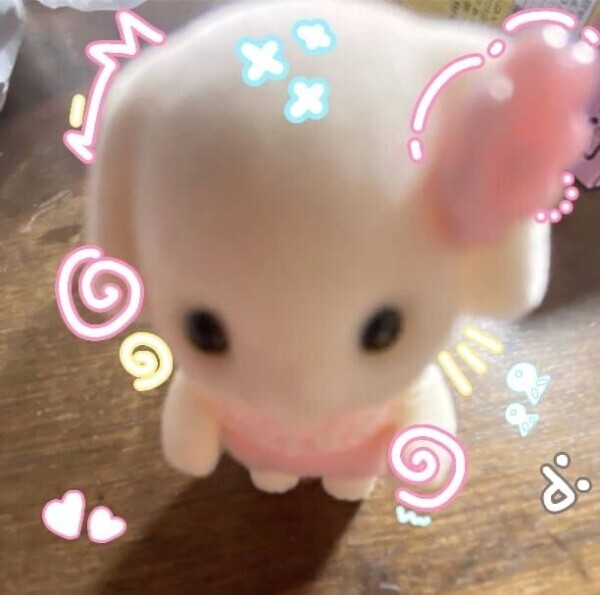 明日と1日います🐶❣️❣️