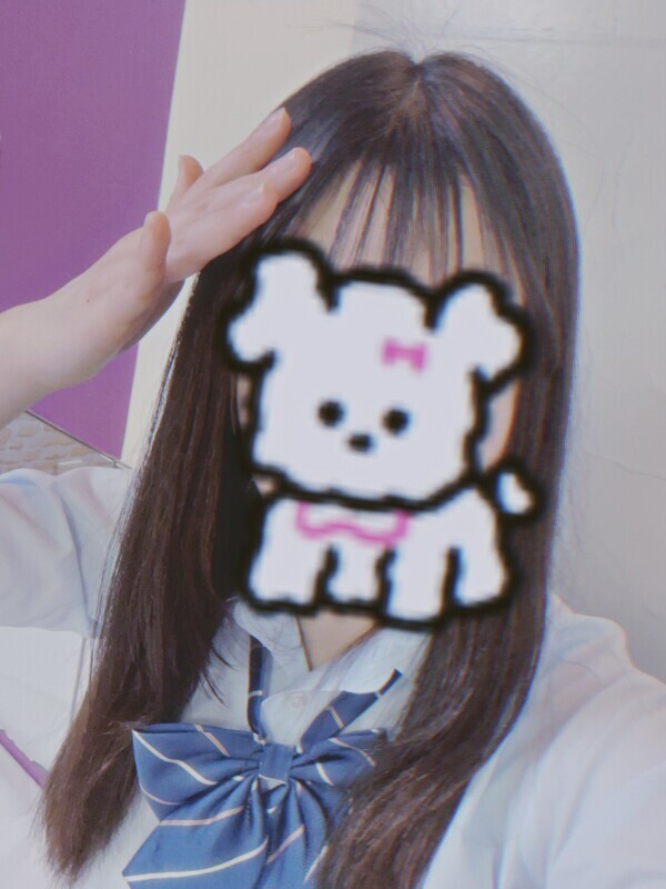 出勤🐶🎀.⋆