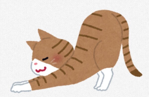はじめまして🐾