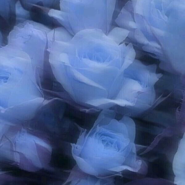 お休み(；＿；)
