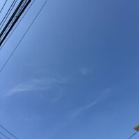 ひな