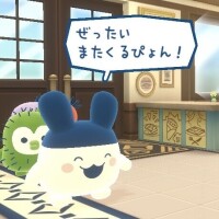 せいら