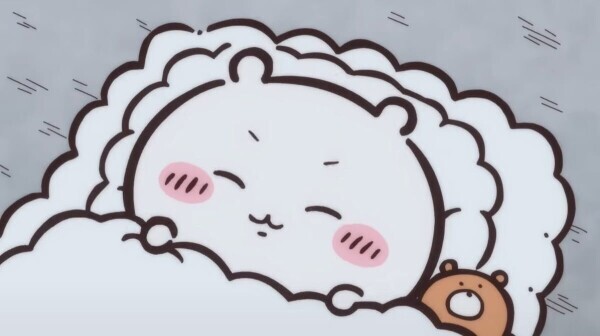 お休み😴