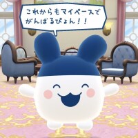 せいら