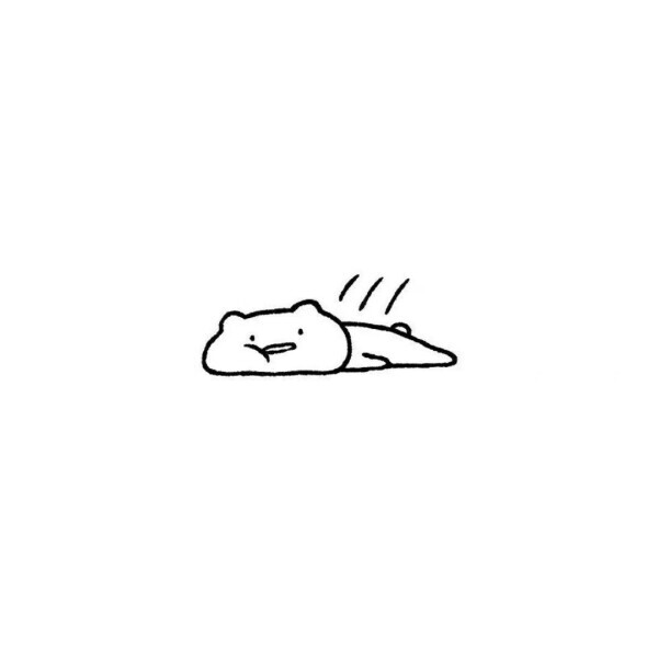 本日いません