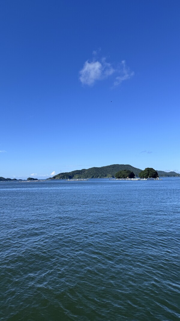 海と癒しのごほうび時間🐬🏝