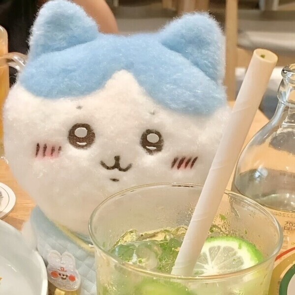 出勤️🩵😸