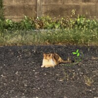 休み前のラストチャンス！🌼*･