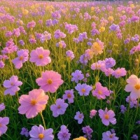 出勤ちました🫠꙳⟡