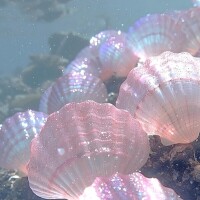 あき