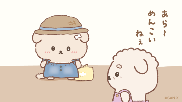 今週の出勤日❣️