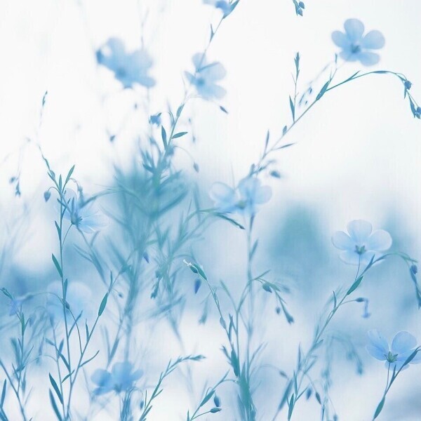 おはよう(  ˊoˋ ) ｡ﾟ