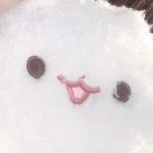 🐶⭐️
