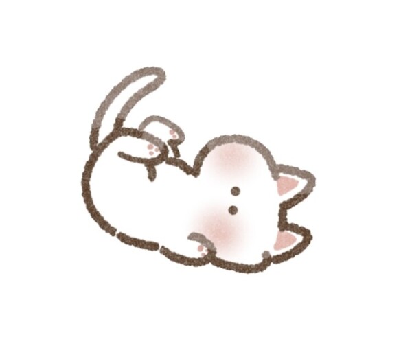 image1.jpeg