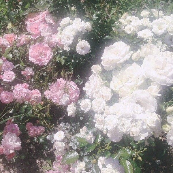 💌お礼〜明日の出勤〜