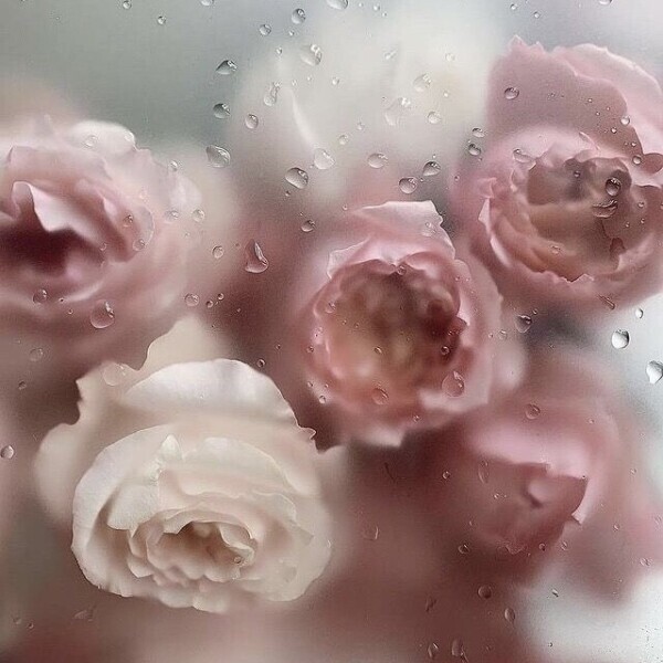 おはよ( ◜︎࿀◝︎ )⛅️