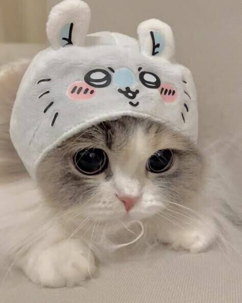 出勤‼️