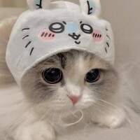 ひかる