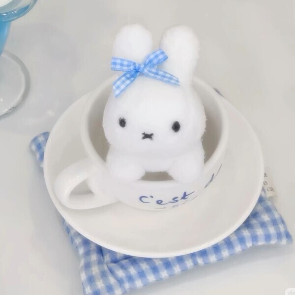 おはようございます️️️🩵