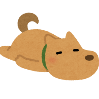 あいり