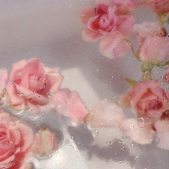 おはよ( ◜︎࿀◝︎ )⛅️