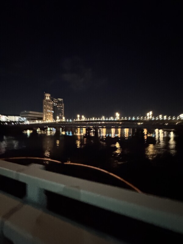 ひないるよ〜！