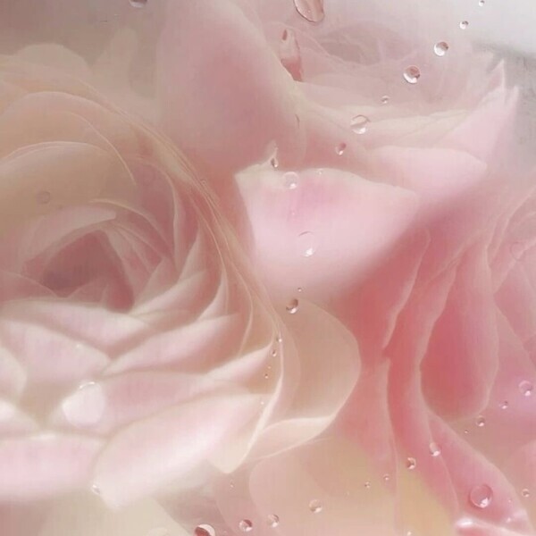 💌お礼〜明日の出勤〜