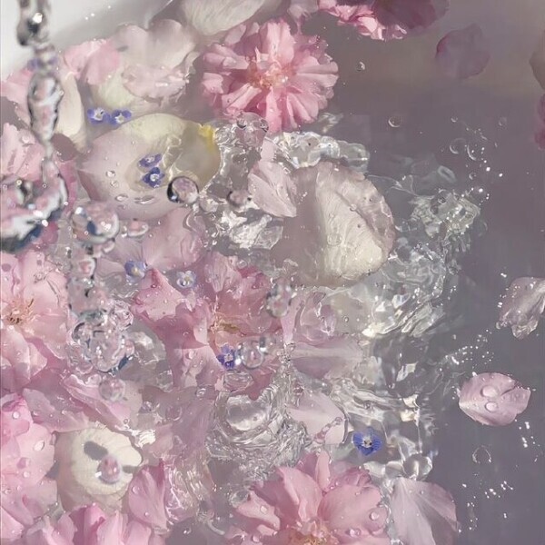 🎀今月ラスト🎀