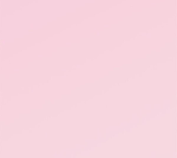 本日いません。