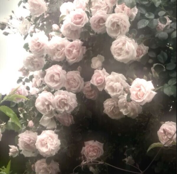 💌お礼〜明日の出勤〜