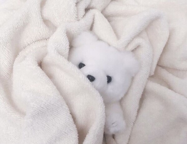 あそぼう☺️💕